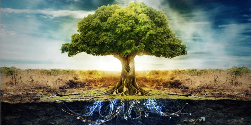 Co je Yggdrasil